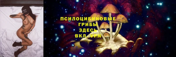 ALPHA-PVP Гусев