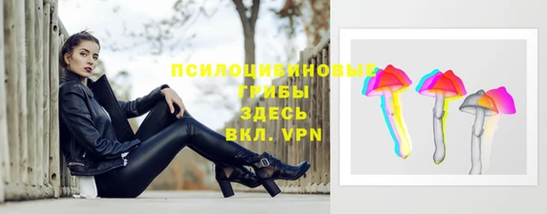 mix Гусь-Хрустальный