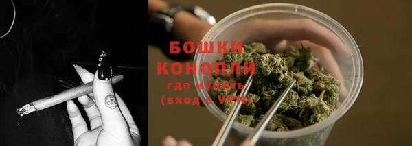 мяу мяу мука Гусиноозёрск