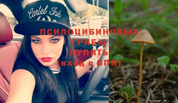 mix Гусь-Хрустальный