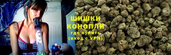 мяу мяу мука Гусиноозёрск