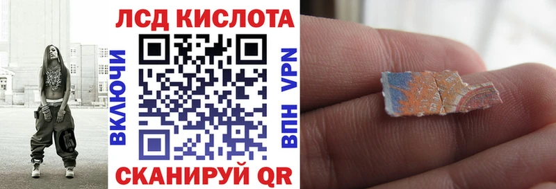 купить   Камешково  ссылка на мегу вход  Наркотические марки 1,5мг 