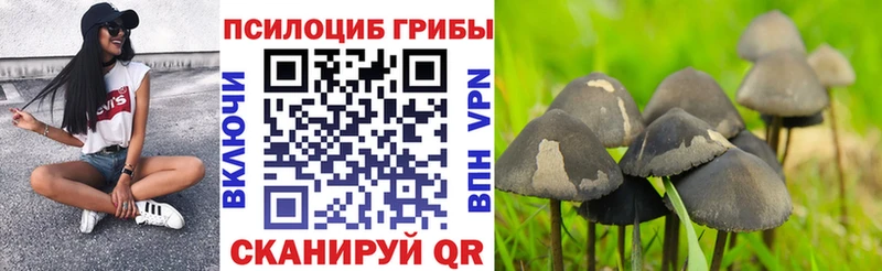 Псилоцибиновые грибы Magic Shrooms  нарко площадка Telegram  Камешково 